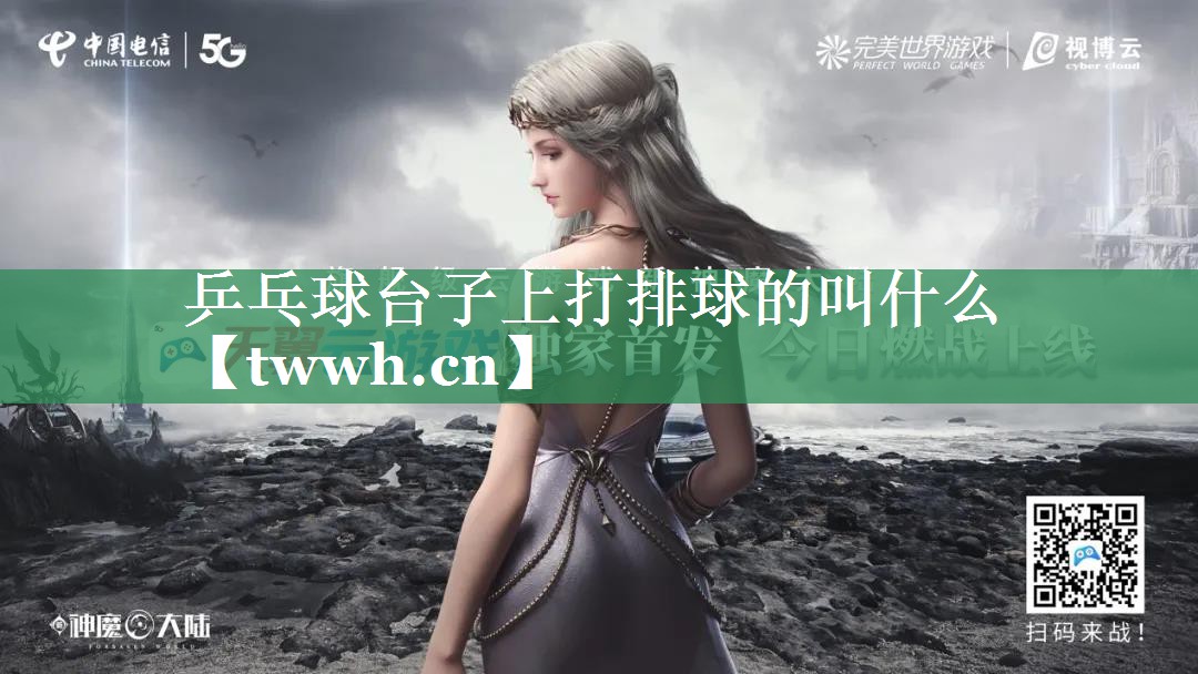 乒乓球台子上打排球的叫什么
