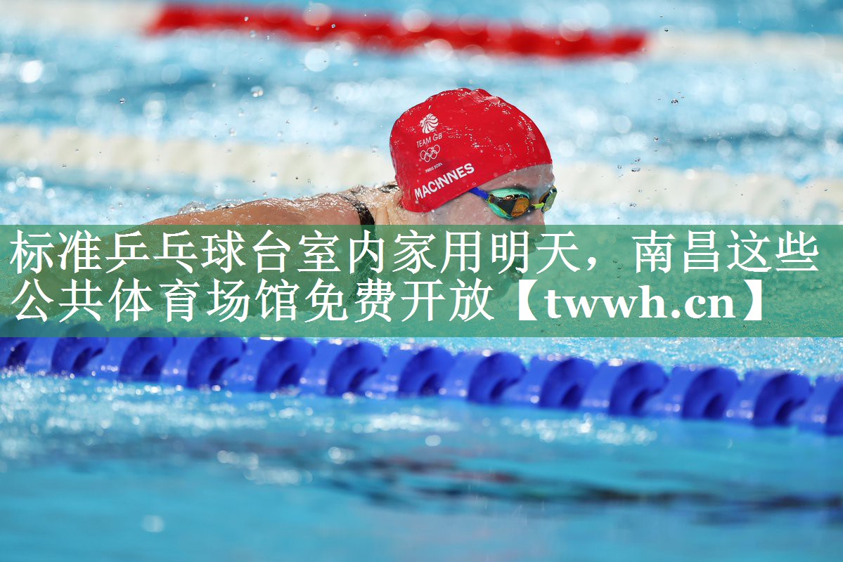 标准乒乓球台室内家用明天，南昌这些公共体育场馆免费开放