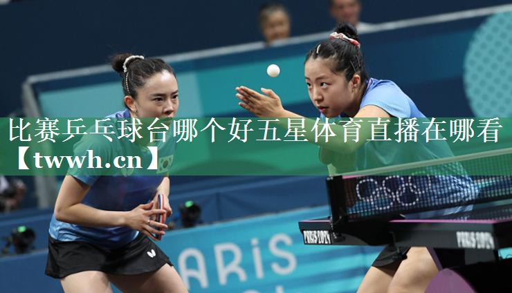 比赛乒乓球台哪个好五星体育直播在哪看
