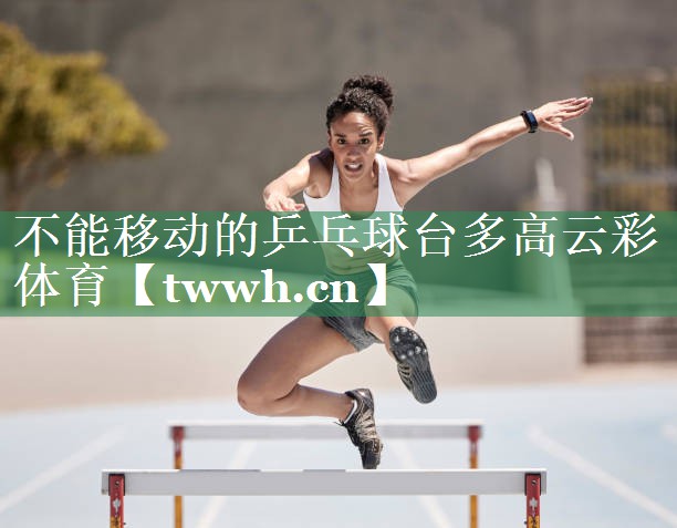 不能移动的乒乓球台多高云彩体育