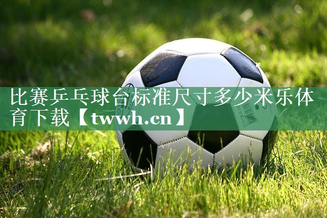 比赛乒乓球台标准尺寸多少米乐体育下载