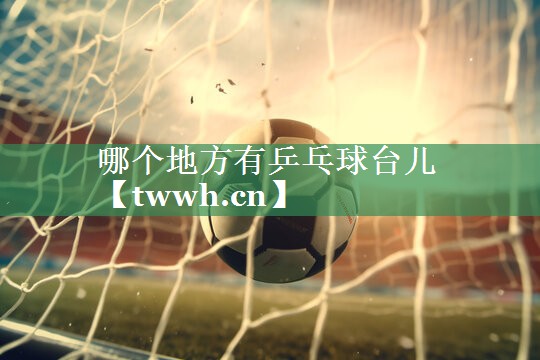 哪个地方有乒乓球台儿