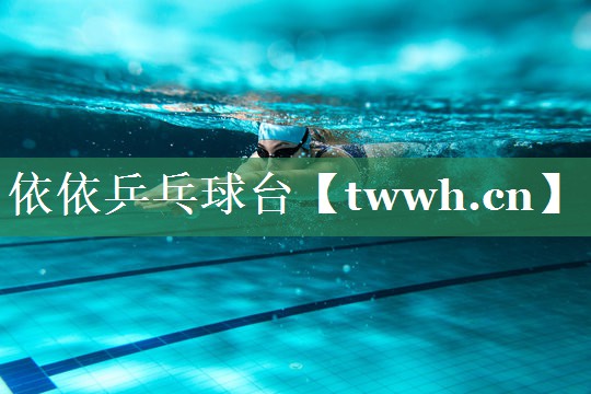 依依乒乓球台