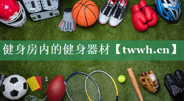 健身房内的健身器材 健身房内的健身器材