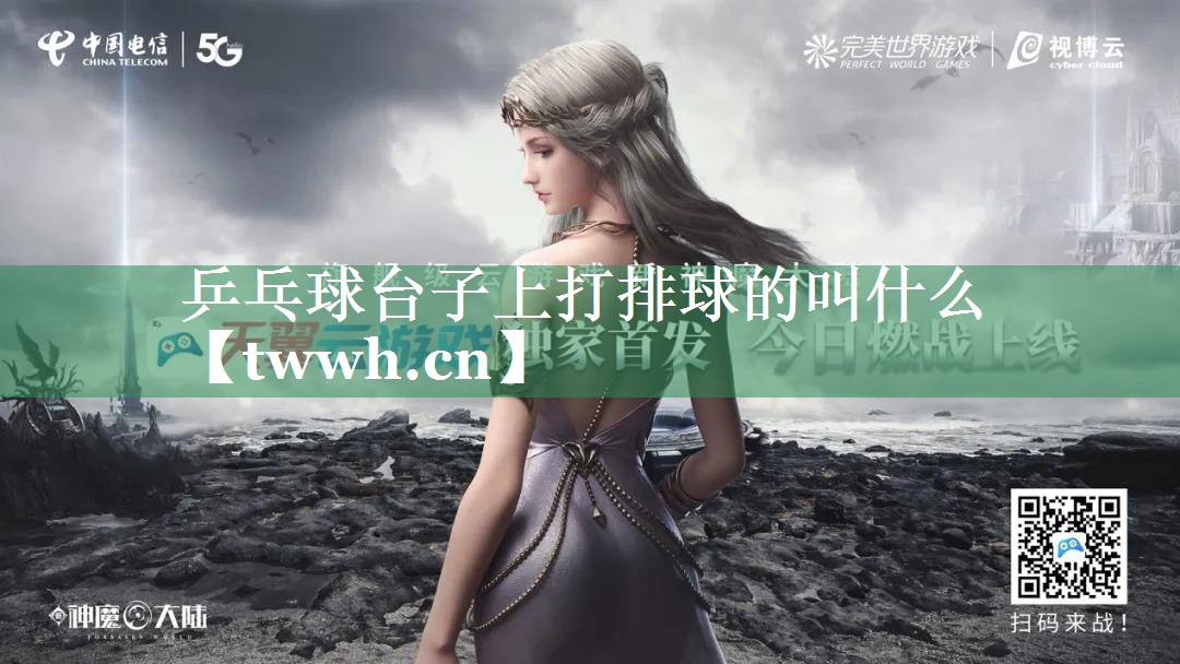 乒乓球台子上打排球的叫什么 乒乓球台子上打排球的叫什么