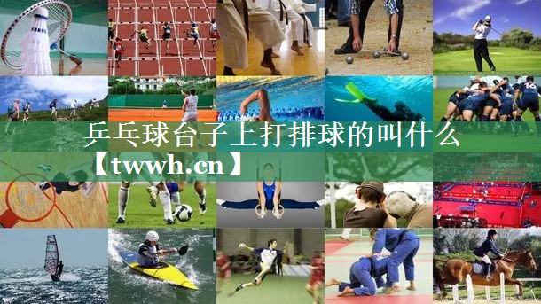 乒乓球台子上打排球的叫什么 乒乓球台子上打排球的叫什么