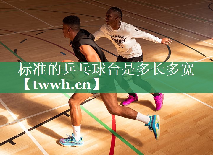 标准的乒乓球台是多长多宽