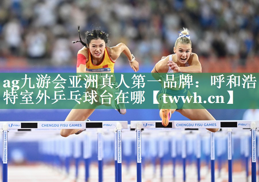 呼和浩特室外乒乓球台在哪 呼和浩特室外乒乓球台在哪