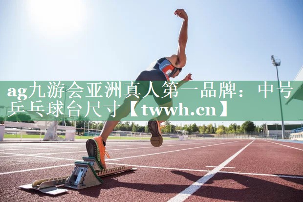 中号乒乓球台尺寸