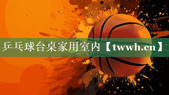 乒乓球台桌家用室内