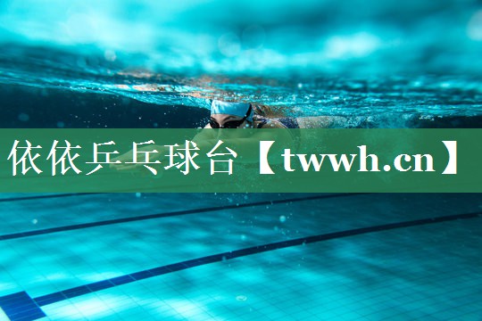 依依乒乓球台 依依乒乓球台